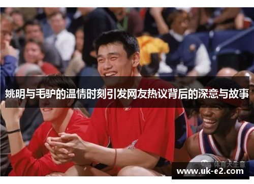 姚明与毛驴的温情时刻引发网友热议背后的深意与故事