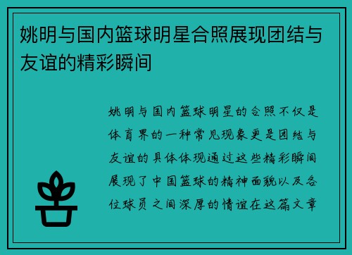 姚明与国内篮球明星合照展现团结与友谊的精彩瞬间